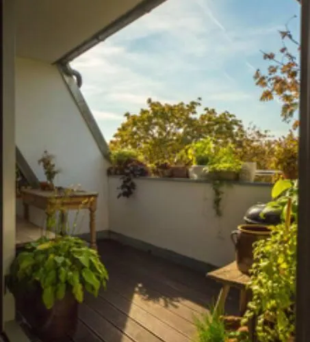 Auf Der Sonnenseite In