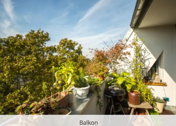 Auf Der Sonnenseite In Apartment