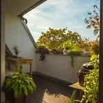 Auf Der Sonnenseite In